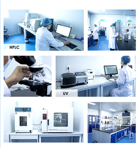 OEM частная этикетка без сахара Matcha Грибной Порошок - Product Image 5