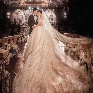 Abito da sposa principale modello A-Line 2025, nuovo modello, con spalle scoperte, vita alta, stile Hepburn, abito <span class=keywords><strong>elegante</strong></span> con strascico effetto cielo stellato. - Product Image 6