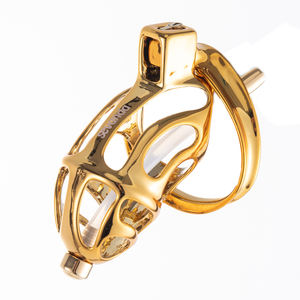 Gabbia di Castità in Metallo Dorato SEVANDA, Giocattoli Sessuali per Uomini, Lucchetto per Pene, Attrezzatura per Bondage per Giochi Erotici - Product Image 6