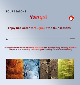 Système <span class=keywords><strong>solaire</strong></span> compact à haute efficacité pour eau chaude Yangzi, avec collecteur <span class=keywords><strong>solaire</strong></span> à plaques plates en cuivre pressurisé - Product Image 6