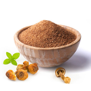 Extracto de hongo <span class=keywords><strong>Agaricus</strong></span> Blazei Murrill en polvo al por mayor - Product Image 3