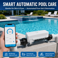 Système de générateur de chlore au sel pour piscine, à connexion rapide, avec plaques en titane à revêtement Ru Ir, robuste, direct usine