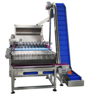 LST 2025 Offre Spéciale Ligne d'enrobage automatique de chocolat pour l'enrobage de gâteaux Busicuit Caramel et la machine à organiser automatiquement