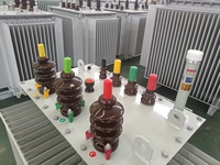 Transformateur immergé dans l'huile H61 H59 160 kVA, 3 phases 10 kV 380 V, haute efficacité, faible perte, bobine à double enroulement, alimentation électrique de distribution