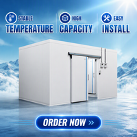 Cámara Frigorífica de Ahorro Energético, Unidad de Almacenamiento Refrigerado Industrial de Alta Eficiencia, Cámara Frigorífica Comercial