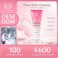 Nettoyant Coréen en Gros pour Soins de la Peau au Zinc PCA, Système d'Acides Aminés pour le Soin des Pores, Élimination Profonde des Impuretés, Certifié MSDS, 120g