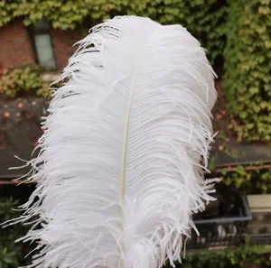 웨딩 파티 센터피스를위한 천연 흰색 타조 깃털 25-27.6 인치 (65-70cm) 꽃꽂이 및 가정 장식