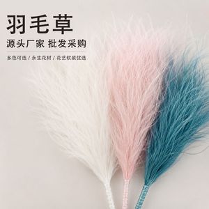 Yuan Nuo Feather <b>Grass</b> <b>Dried</b> Flower 60cm Soft Decor For Floral Arrangement - Product Image 5