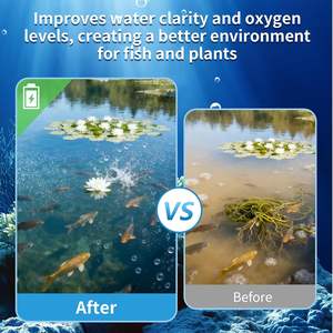 מדחס אוויר מיני חדש, מבוקש, איכותי, 230W, ללא שמן, שקט, נייד, מנוע 110V/220V, שנתיים אחריות - Product Image 3