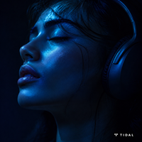 Compte Premium Tidal Music 12 mois |   Abonnement Tidal HiFi Plus