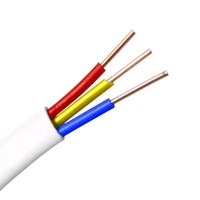 Weißes Flexibles Gebäudekabel 0,75 mm 1,0 mm 1,5 mm 2,5 mm 3-adrig Kupferleiter 450V Nennspannung LED