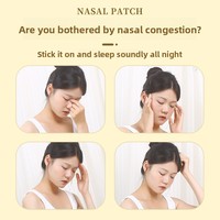 Patchs de Soulagement Nasal à l'Artemisia Chinoise pour Nez Sec et Bouché – 12 Patchs par Boîte – Vente en Gros pour Usage Domestique
