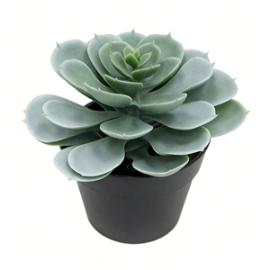 Plantas Suculentas Artificiales <span class=keywords><strong>Echeveria</strong></span> en Maceta, <span class=keywords><strong>Suculenta</strong></span> Artificial de Loto en Maceta de Plástico Negra, <span class=keywords><strong>Suculenta</strong></span> Artificial para Decoración de Escritorio - Product Image 5