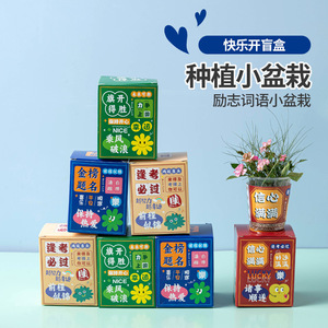 Exhibición de Nuevas Mini Plantas en Maceta Creativas, Caja Sorpresa Inspiradora, Semillas de Flores para Cultivo Interior de Escritorio, Diseño de Dibujos Animados - Product Image 1