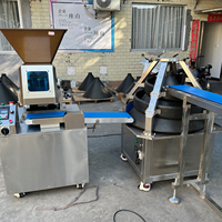 Machine à diviser et à arrondir la pâte en continu pour la production de pain au levain