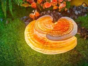 Luz Decorativa de FRP con Doble Ganoderma para Montar en Árboles, para Jardín Exterior, Parque y Decoración de Paisajes - Product Image 1