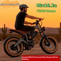 Scooter Électrique M20 Rétro Urbain pour Trajets Quotidiens, Vélo Électrique Tout-Terrain, Vélo à Neige, Vitesse Variable, Antidérapant, Non Pliable, Livraison Possible en Europe