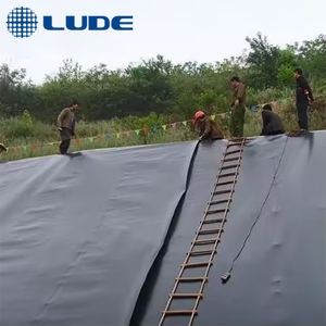 Stile industriale <span class=keywords><strong>HDPE</strong></span> composito geomembrana miglior prezzo <span class=keywords><strong>Hdpe</strong></span> acquario fodera per allevamento ittico all'aperto gamberetti fattoria discarica - Product Image 4