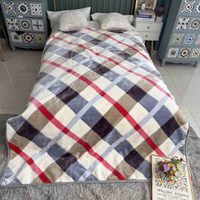 Couverture en velours Raschel Minky épaissie de style coréen, tricotée en polyester, 12 kg, 2 plis, avec sacs en PVC, fabriquée en Chine