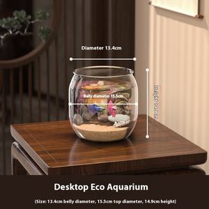 2025 nuevo tanque de <span class=keywords><strong>peces</strong></span> ecológico de Material PET de alta transparencia en caja para escritorio y sala de estar cultivo de <span class=keywords><strong>peces</strong></span> y tortugas - Product Image 6