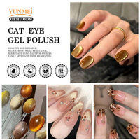 12 couleurs ambre oeil de chat Gel polonais Collection automne populaire lampe à LED Source personnalisé OEM/ODM marque Service