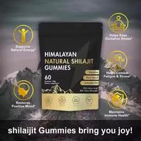 Complément Alimentaire Gommes de Shilajit Naturel de l'Himalaya OEM/ODM – Antioxydant, Sans Gluten, Soutien Immunitaire pour Soulager la Fatigue