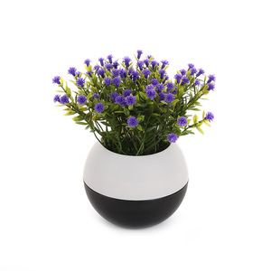 Pot de fleurs en forme d'étoile simulée, hauteur 16 cm, fleurs mélangées, ornement de bureau, décoration de la maison, décoration de chambre à coucher - Product Image 5