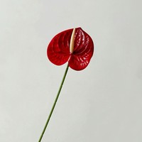 KX001 merasa tangan 3D dicetak batang tunggal kecil Anthurium tanaman bunga merah muda buatan untuk pernikahan Natal acara wisuda
