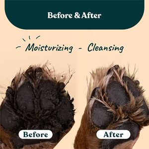Shampooing <span class=keywords><strong>Sec</strong></span> Sans Eau Marque Blanche pour Chiens, Chats et Animaux – Nettoyant Patte Anti-Odeur – Idéal pour Chiots – Brosse Nettoyante pour Pattes – Shampooing <span class=keywords><strong>Sec</strong></span> - Product Image 3