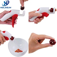 Eco-vriendelijke, op maat gemaakte, handzame, creatieve, voedselveilige plastic kersenontpitter voor fruit & groentegereedschap