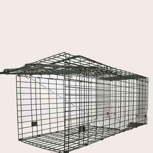 Répulsif pour animaux vivants fer automatique répulsif pour <span class=keywords><strong>chat</strong></span> piège à <span class=keywords><strong>chat</strong></span> piège à cage pour <span class=keywords><strong>chat</strong></span> humain - Product Image 3
