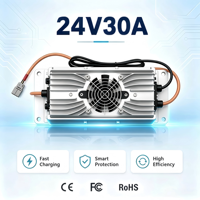 Pengisi Daya Baterai Lithium LiFePO4 24V30A untuk Mobil, 25.2V 29.2V 29.4V untuk Sepeda Motor Listrik, RV, dan Motorhome