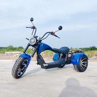 Nuevo Scooter Eléctrico de Tres Ruedas City Coco Rock de 4000w, Triciclo Scooter Rock, Citycoco de Tres Ruedas