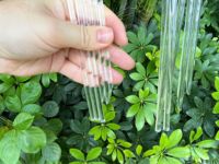 Jbambs Modèle AT016 Treillis pour plantes en acrylique transparent robuste en forme de U, anti-pourriture, 8 pouces, support solide pour jardin