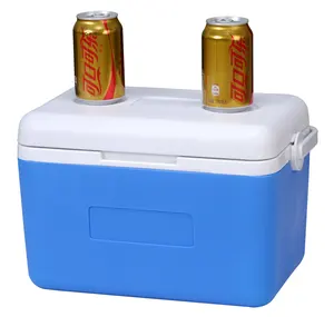9L स्टायरोफोम EPS अछूता आउटडोर प्लास्टिक कार का उपयोग बीयर की बोतल शराब खाद्य कूलर