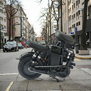 Vélo de ville pliable électrique de Type économique 14 pouces pour adultes 36V/250W moteur batterie au Lithium vélo de ville E à vitesse unique - Product Image 2
