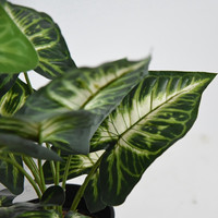 Plante artificielle en pot en forme de pointe de flèche, feuilles de soie Syngonium Podophyllum, Taro Bonsai 45cm, centre de table, décoration maison et mariage