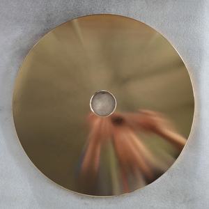 शेडोंग न्यूफील्ड 25lb कस्टम कैलिब्रेटेड पावरलिफ्टिंग प्लेट्स, वजन सहिष्णुता +/- 10 ग्राम, उच्च गुणवत्ता वाले कार्बन स्टील से बना - Product Image 3