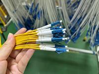 Jumper Break Patch Cord Pigtails 4 8 12 24 Cores Bundle Branch Fiber Tail Cable Network Communication Fiber Patch Cord
