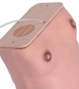 Modelo de examen de maternidad avanzado DARHMMY para entrenamiento en obstetricia y ginecología - Product Image 5