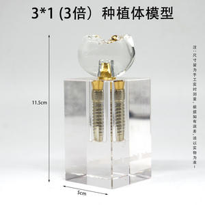 แบบจำลองการฝังรากฟันเทียม 2 ชิ้น แบบถอดประกอบได้ สำหรับการสอนทางวิทยาศาสตร์การแพทย์ - Product Image 2