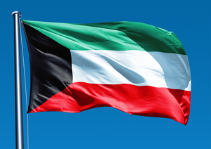 Drapeaux personnalisés en gros 100 polyester double face 3X5ft imprimés numériquement Offre Spéciale tous les pays en plein air - Product Image 6