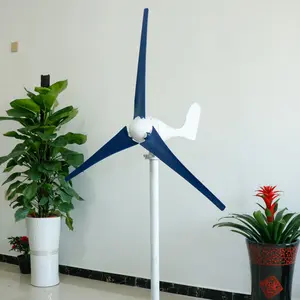 1kw Kleine Windturbine/Windenergie Generator Voor Thuisgebruik (1000W)