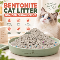Litière pour chat biodégradable en bentonite de sodium de qualité supérieure, en forme de boule, sans poussière, à agglomération rapide, contrôle des odeurs, 1 kg, OEM ODM, vente en gros d'usine