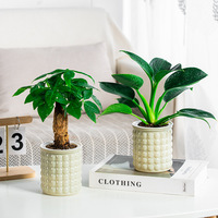 Pot de fleurs créatif auto-arrosant en résine plastique transparente pour petite plante en pot/plante aérienne, style bulle hydroponique