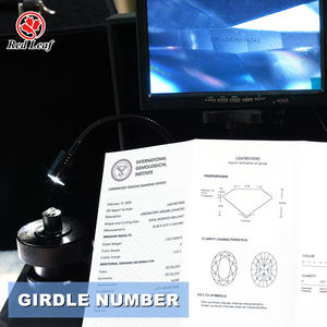 रेड लीफ इजी प्रमाणित 2ct 3ct 4ct 5ct प्रयोगशाला में उगाई गई हीरे के अंडाकार कट - Product Image 4