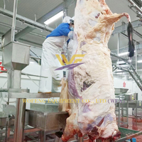 Extracteur de peau de machine de décapage de bétail d'usine directement avec des machines de processus de viande