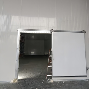 Kích Thước Tùy Chỉnh Thép Không Gỉ Kim Loại Polyurethane Cách Điện Điện Cửa Trượt Cho Tươi-Giữ Và Hàng Hóa Đông Lạnh Tủ - Product Image 3