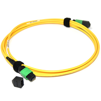 Cable de Fibra Óptica Multimodo OM4 de Baja Pérdida, MOQ Bajo, MTP-MTP, MPO-MPO, Tipo B, Plenum OFNP
