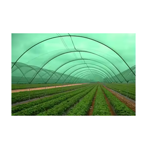Hot Sales Commercial <b>Greenhouse</b> for Sale Multi-span Glass <b>Greenhouses</b> Agricultural for <b>Tomato</b> & Strawberry for Agriculture - Product Image 1